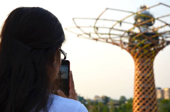 Albero_della_vota_terrazza_Union_europea